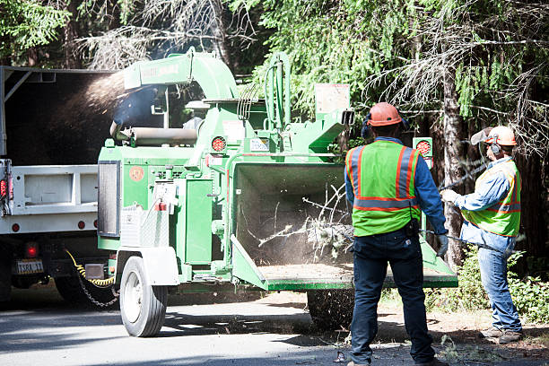 Lawn Watering Services in Cherry Valley, IL